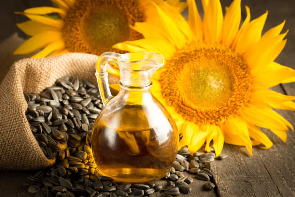 are-seed-oils-bad-for-your-health-gear-up-to-fit