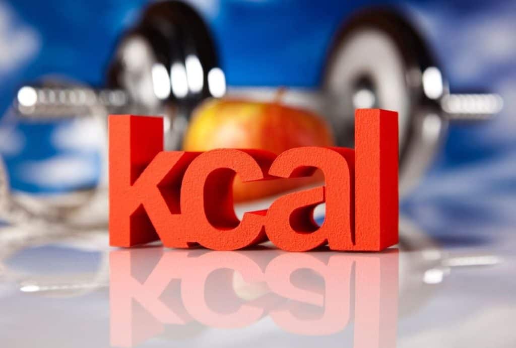 Estimated Energy Requirement (EER) Calculation Tool Gear Up to Fit