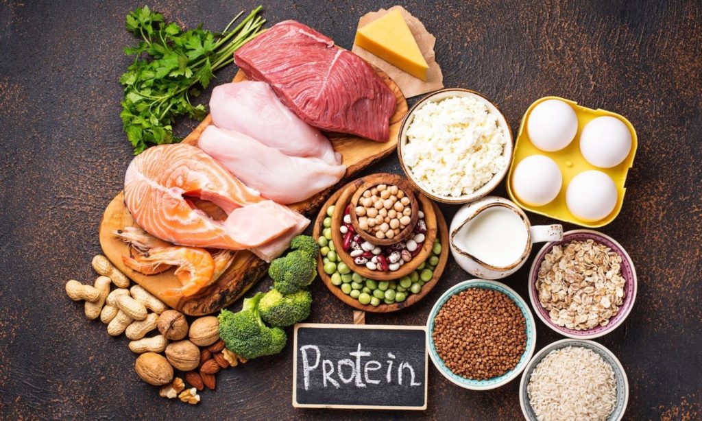 Choosing a diet high in protein, high in fat, and low in saturated fat is your best option