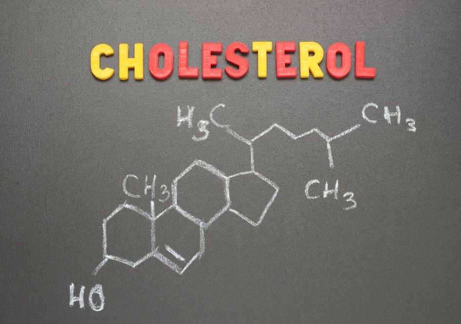 How do triglycerides compare to cholesterol