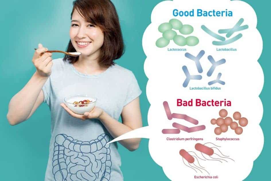 Probiotics: Benefits, Uses & What You Should Know