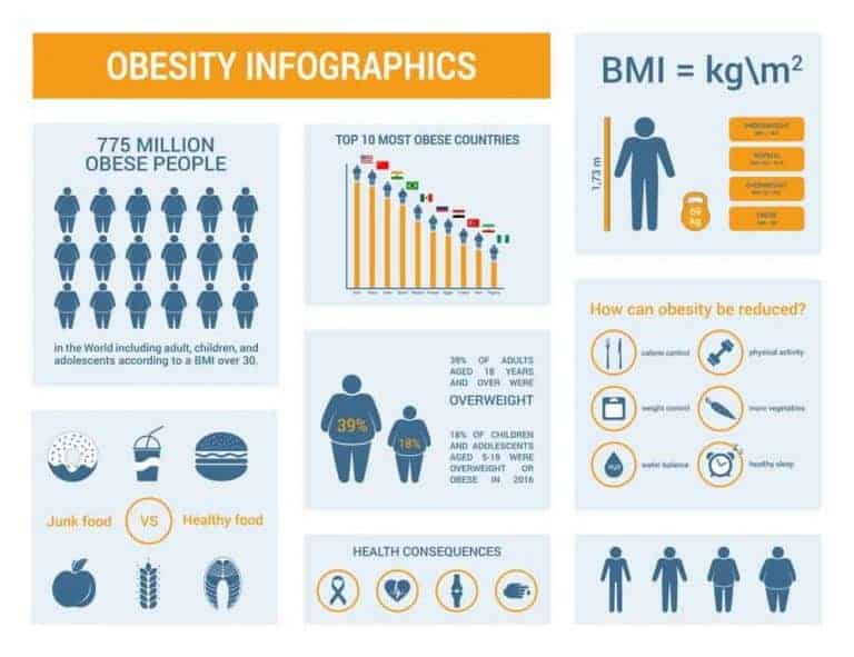 Best tdee calculator track your diet lose weight safely