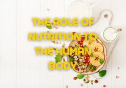 the role of nutrition to the human body