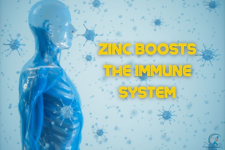 Immune System Function and Disease