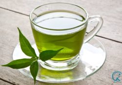 Best Green Tea for Weight Loss