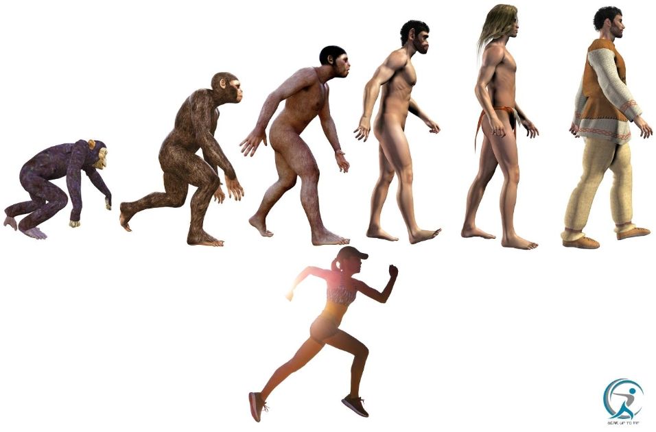 The evolution of running