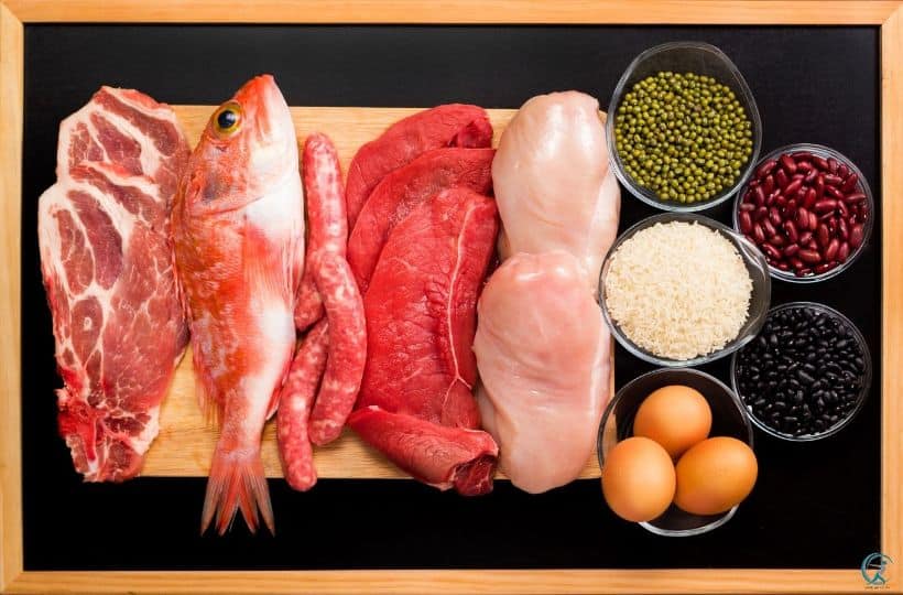 Fat Protein Efficient Diet: Lose Weight by Eating Well