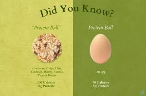 Are broiler eggs good for your health or not?