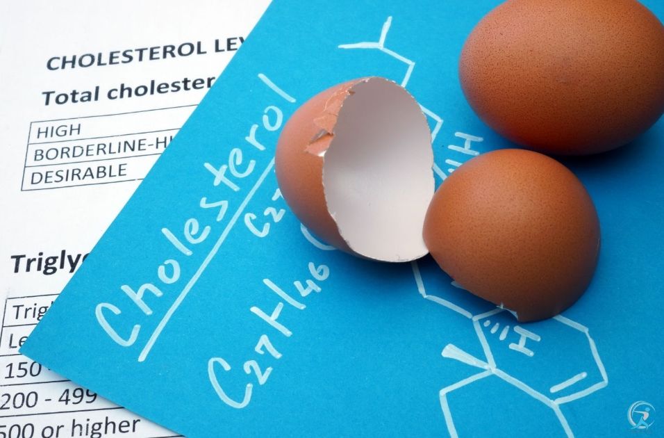 Is It True That Eggs Will Give You High Cholesterol?