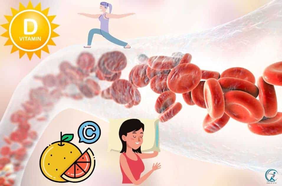 White blood cell and healthy immune system