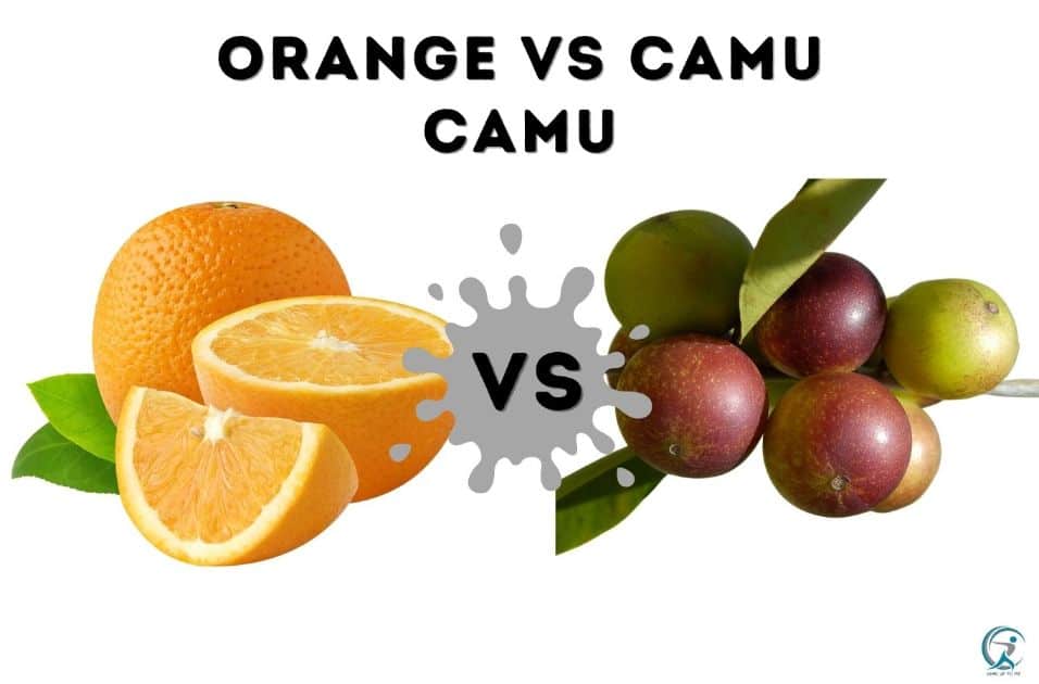 Camu camu fruit contains 300 times more vitamin C than an orange.