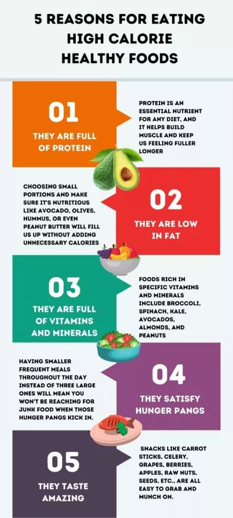 5 Reasons Why You Should Eat These High Calorie Healthy Foods Infographic