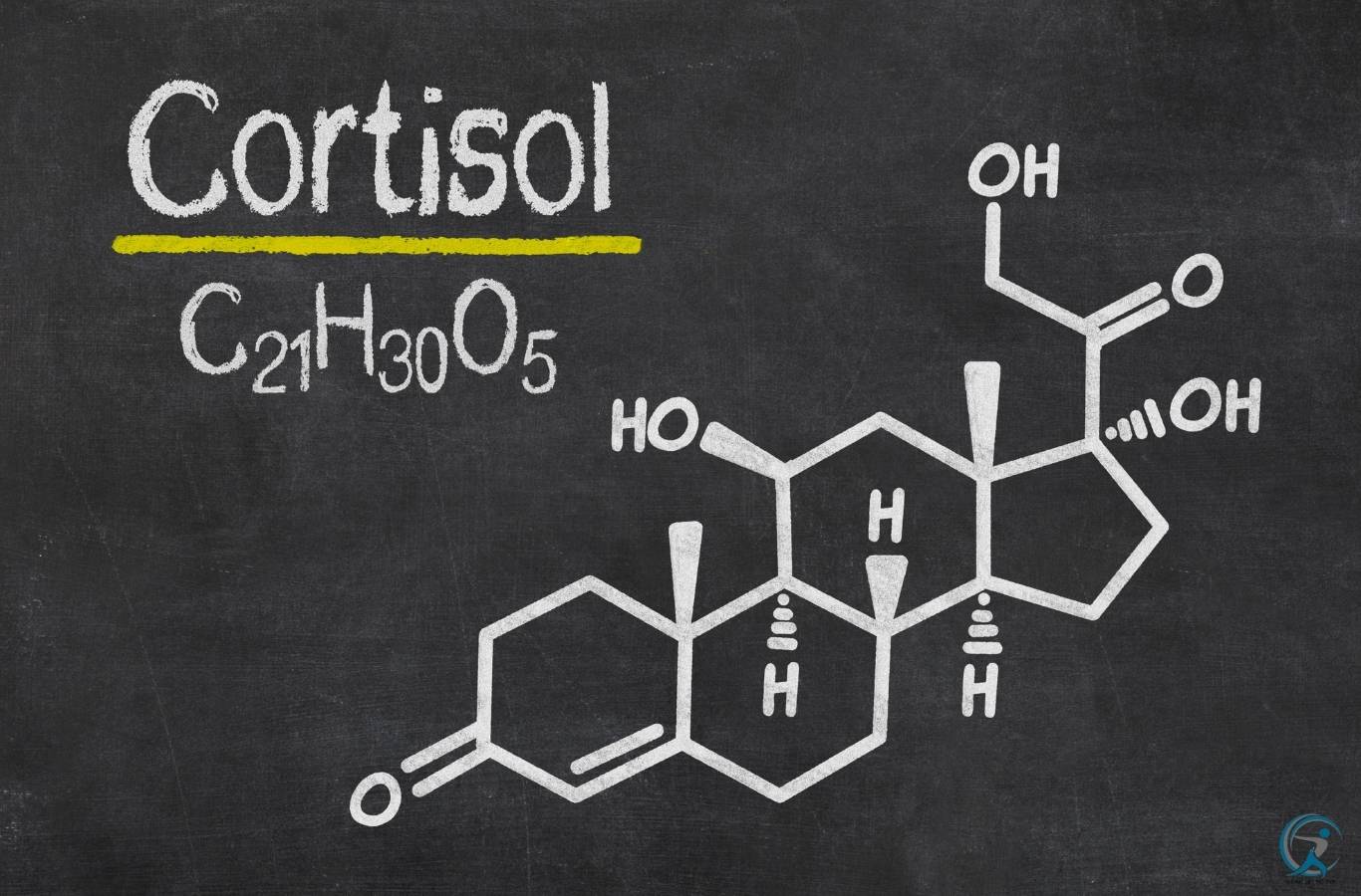 High Cortisol Levels Symptoms Causes And Treatment Gear Up To Fit   High Cortisol Levels Heres How To Manage Your Stress 1 