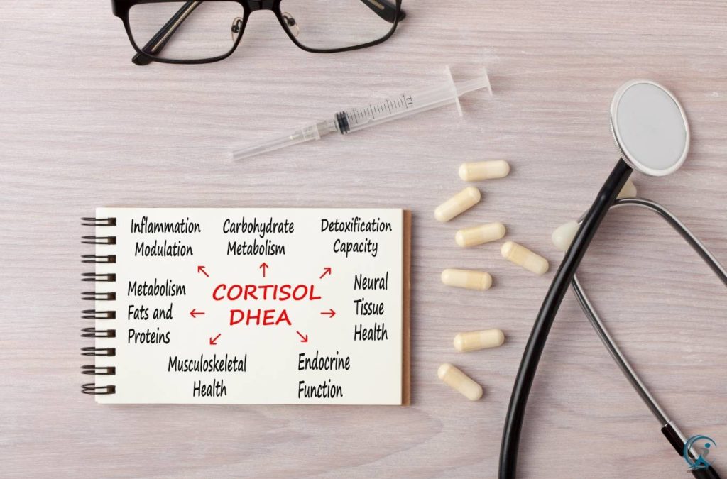 What is Cortisol ?
