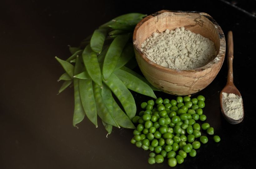 Pea protein is an excellent element to add to add to your Meal plan for weight loss and muscle gain for males