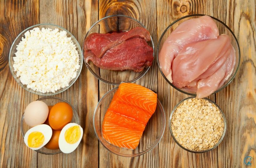 What are some of the foods on a high-protein diet?