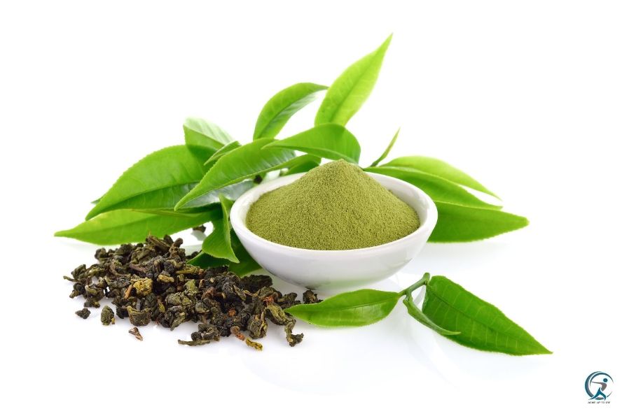 Can I Use Green Tea Extract For Weight Loss?