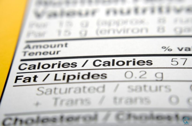 recommended calories per day to lose weight