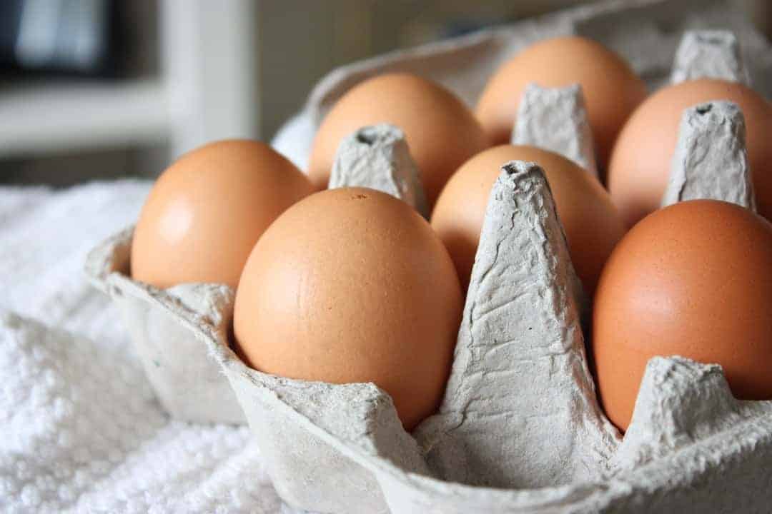 33 High Protein Low Carb Foods (2026 List): Science-Backed & Budget-Friendly