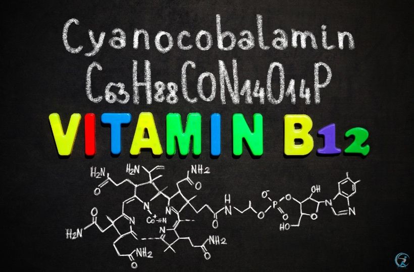 Vitamin B12 is one of the 5 Most Important Vitamins That Help With Weight Loss