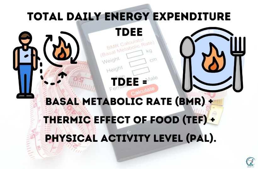 TDEE = Basal Metabolic Rate (BMR) + Thermic Effect of Food (TEF) + Physical Activity Level (PAL).