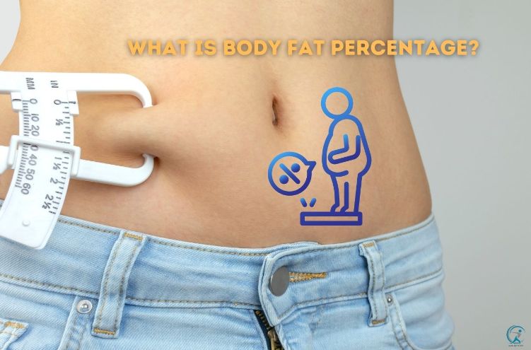 What is Body Fat Percentage?