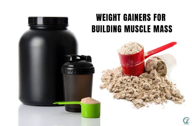 Best Weight Gainers for Building Muscle Mass