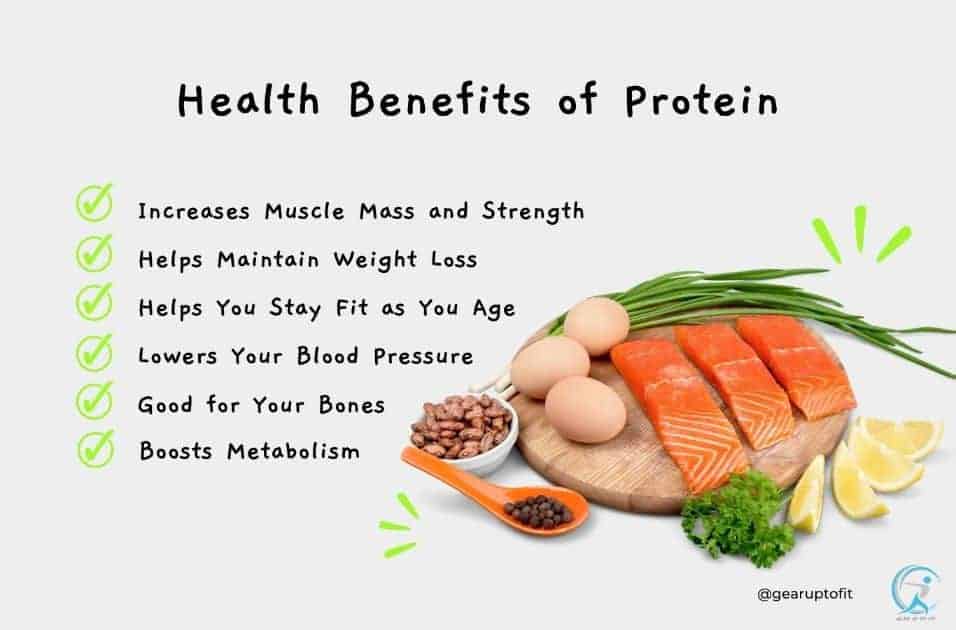Why does protein play a crucial role in your health? - Protein is the Key to Optimal Health