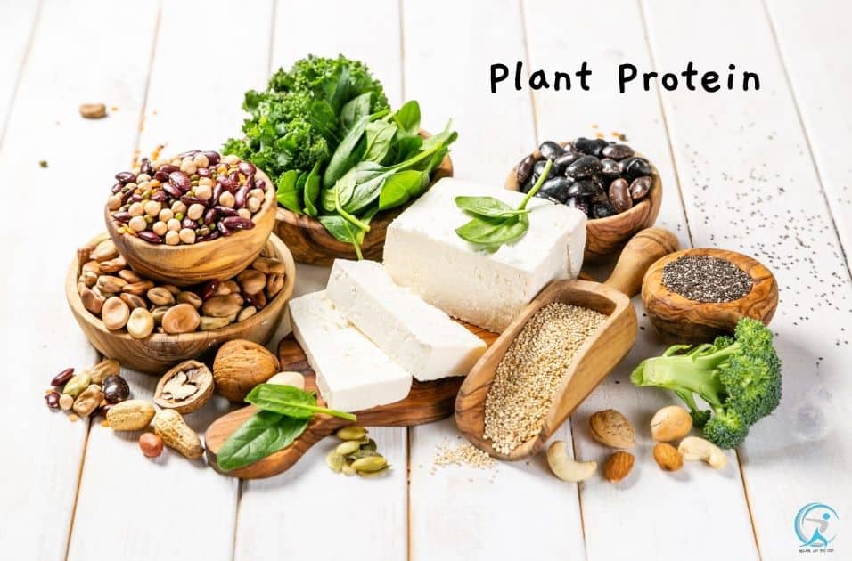 Plant foods also require more energy for your body to digest than animal foods do - Protein is the Key to Optimal Health