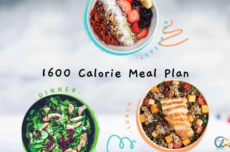 The 1600 Calorie Meal Plan: Lose Weight, Feel Great! - Gear Up to Fit