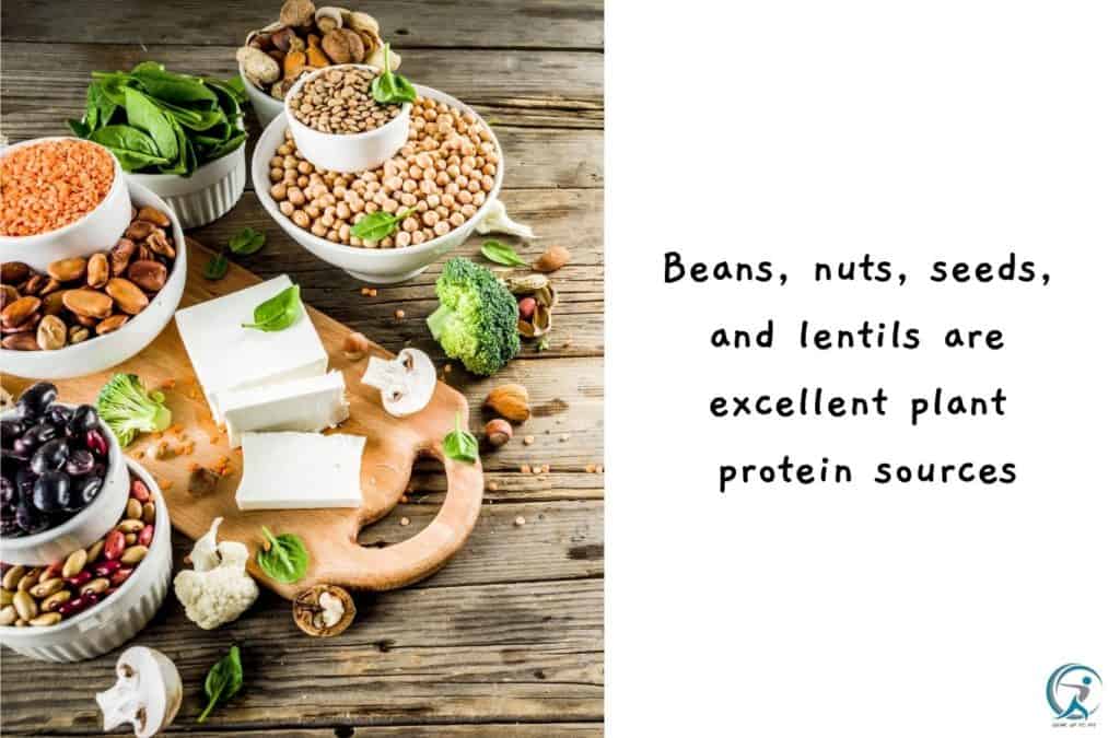 Beans, nuts, seeds, and lentils are excellent plant protein sources