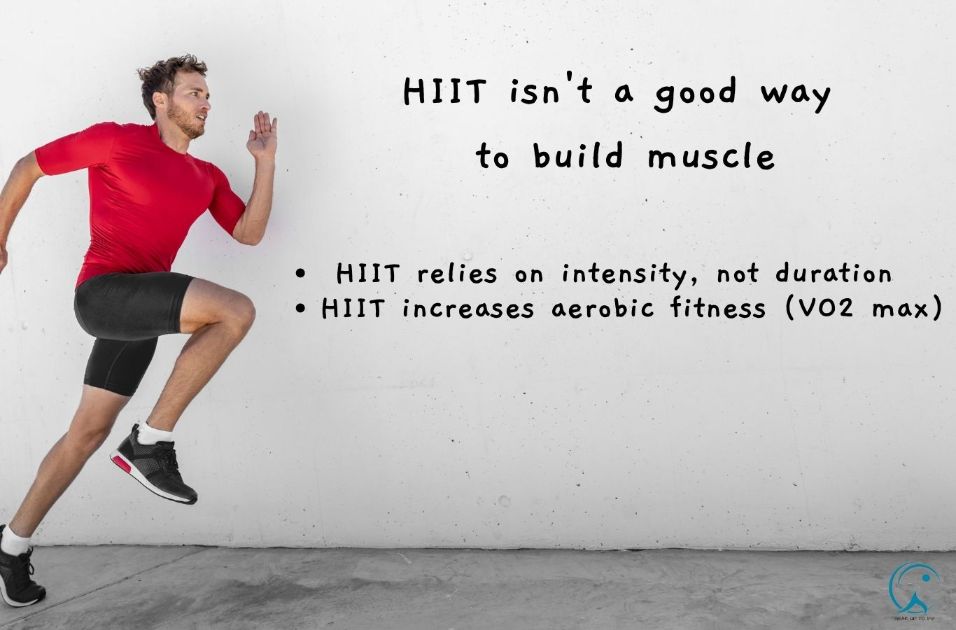 Does HIIT build muscle?
