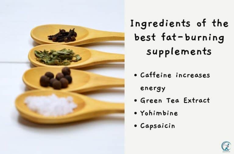 best thermogenic supplements for fat loss in 2022 Gear Up to Fit
