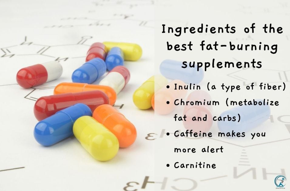 The ingredients of the best fat-burning supplements