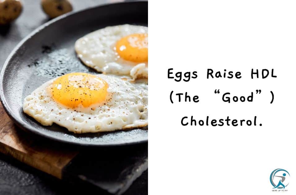 Eggs Raise HDL (The “Good”) Cholesterol