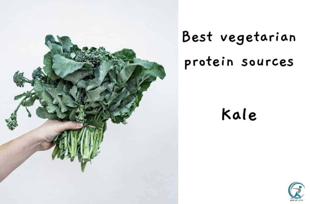 Best Vegetarian Protein Sources - Kale