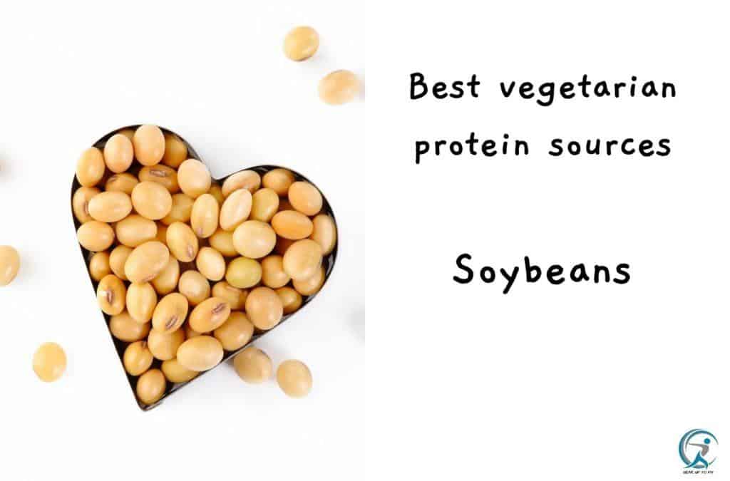 Best Vegetarian Protein Sources - Soybeans