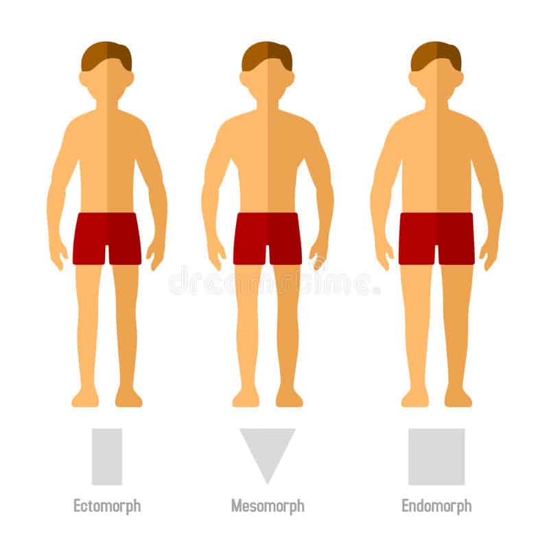Endomorphic Body Type