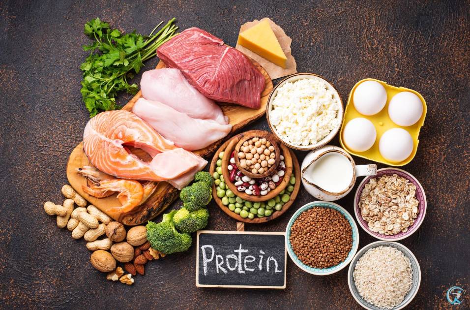 Increasing protein intake