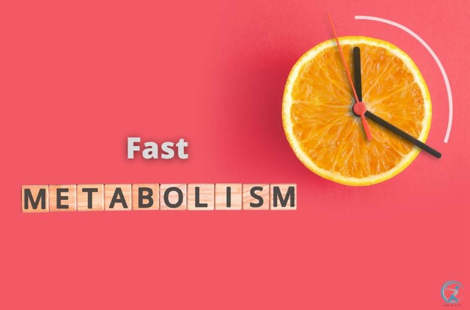 What is fast metabolism?