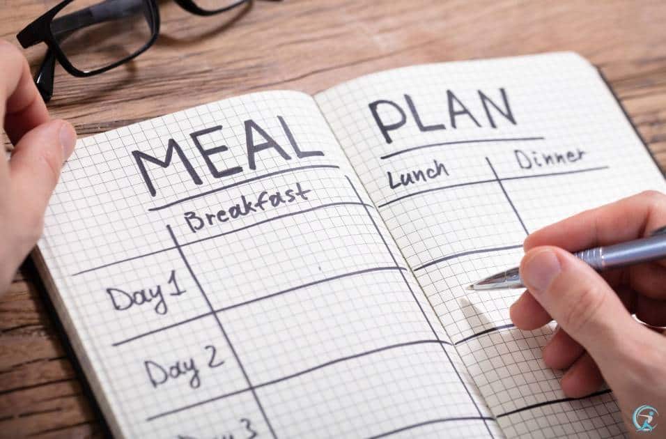 What is the meal plan for losing belly fat