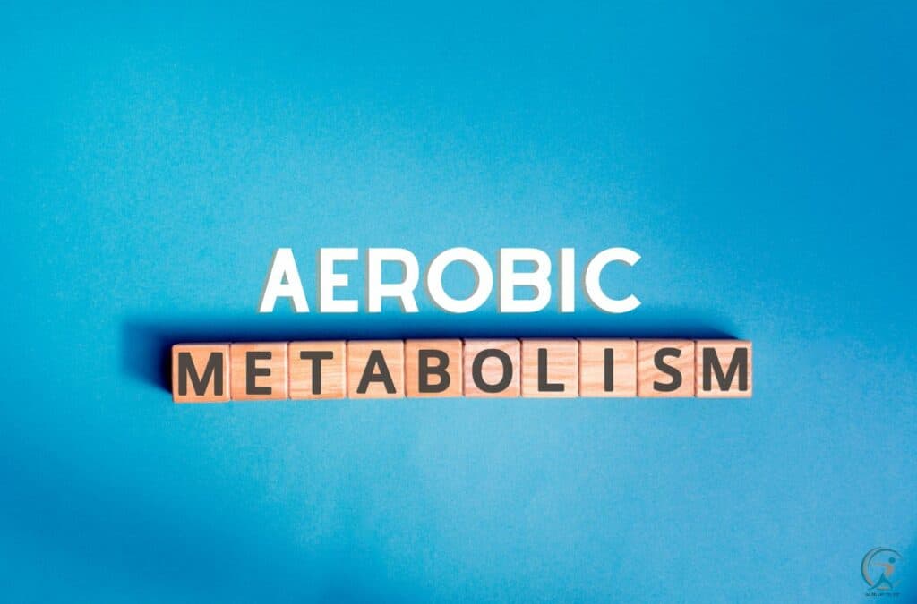 What Is Aerobic Metabolism And How Can It Burn Fat