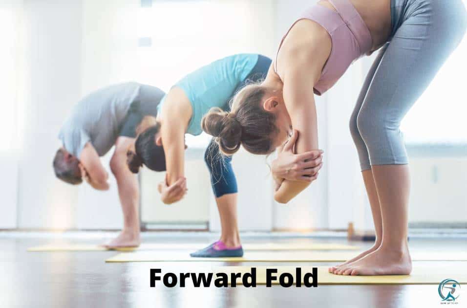 Forward Fold