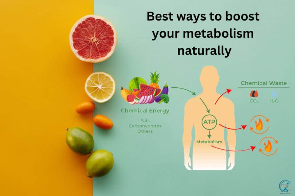 Best ways to boost your metabolism naturally