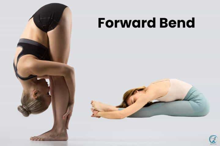 The Best Stretching Exercises For Weight Loss - Forward bend