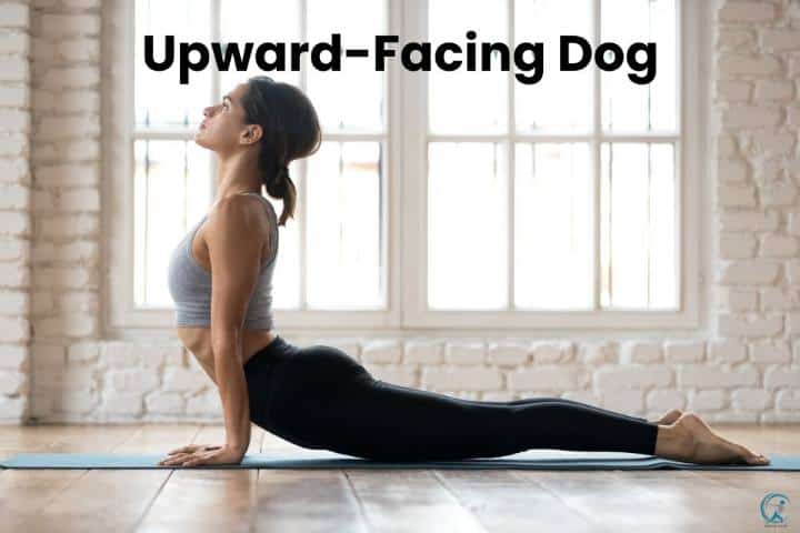 The Best Stretching Exercises For Weight Loss - Upward facing dog