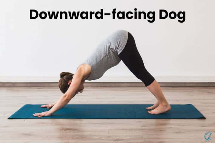 The Best Stretching Exercises For Weight Loss - Downward facing dog