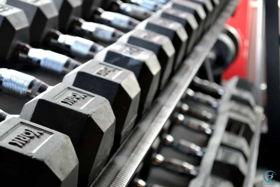 Understanding Gym Equipment