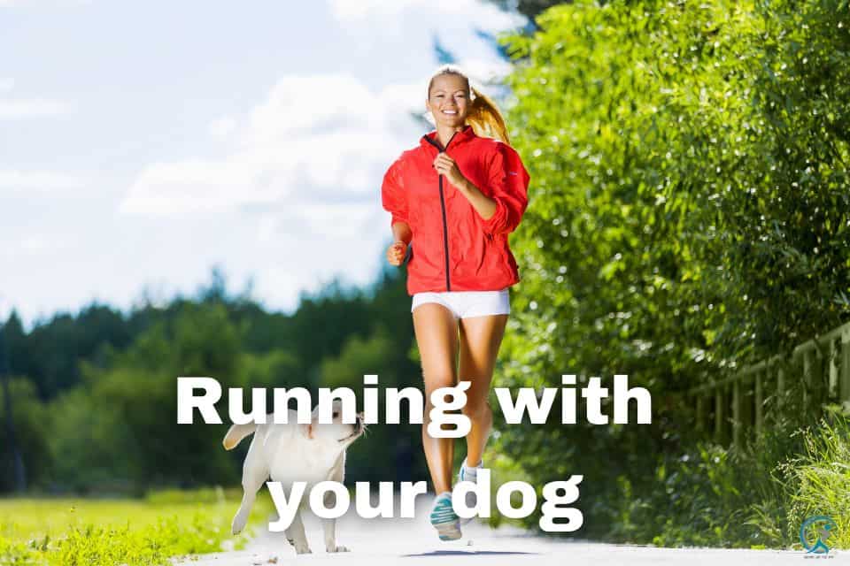 Run, Bark, Repeat: A Guide to Joyful Jogs with Your Canine Companion