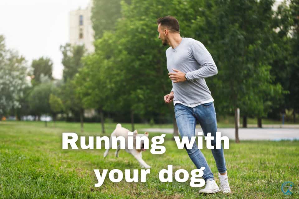 Choosing the Right Equipment for Running with Your Dog
